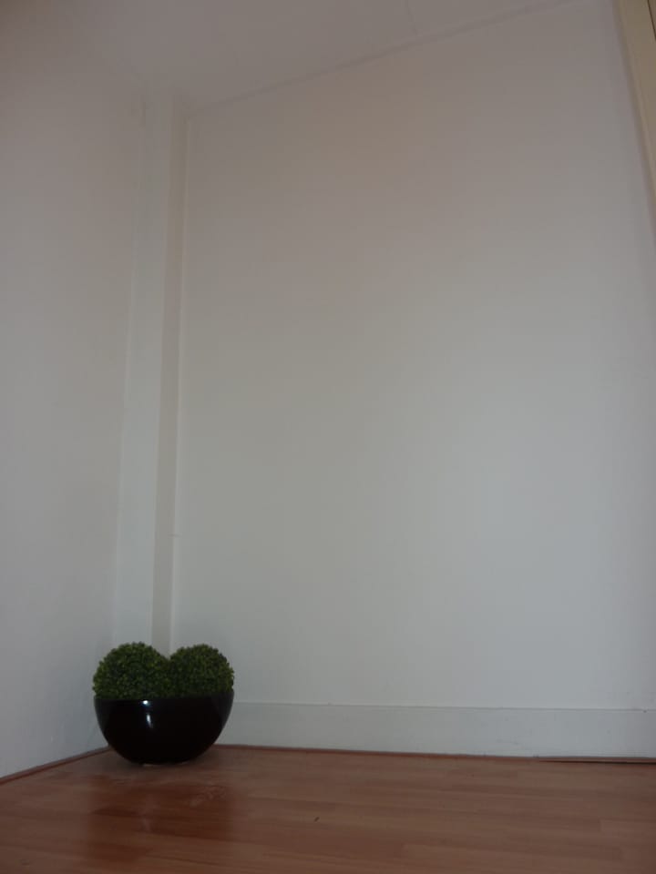933_groot.jpg