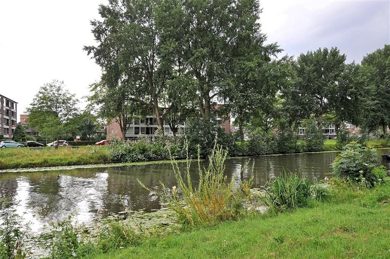 051_grotere.jpg