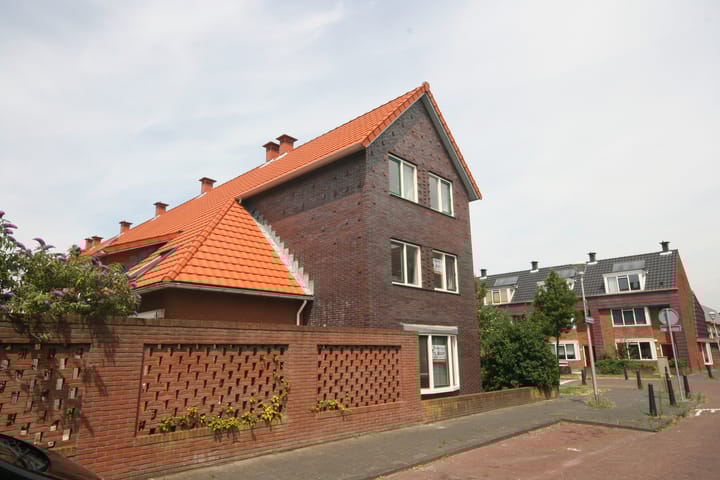 098_groot.jpg 