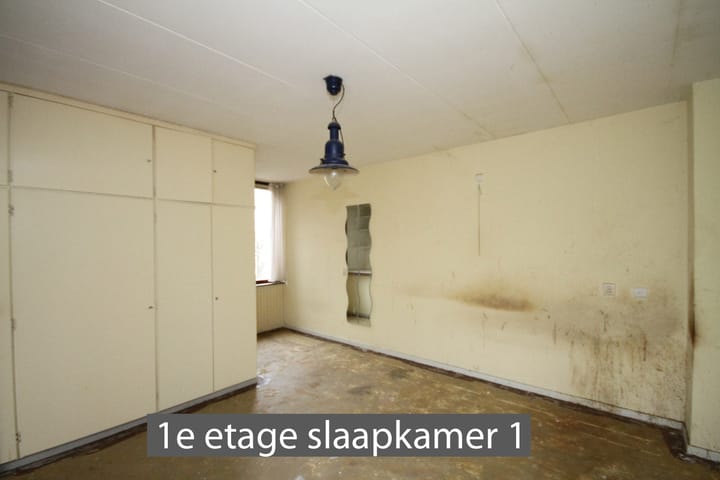 878_groot.jpg