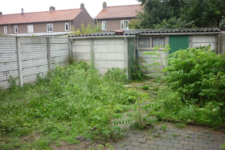 962_groot.jpg