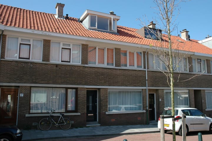 048_groot.jpg