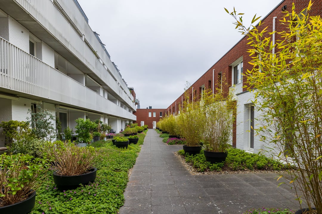 Appartement Verkocht Jacobstraat 35 2019 WC Haarlem Funda