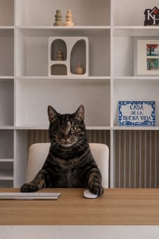 Louis - Officemanager