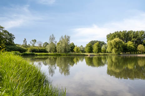 Koningshoeven 7 tertiary image