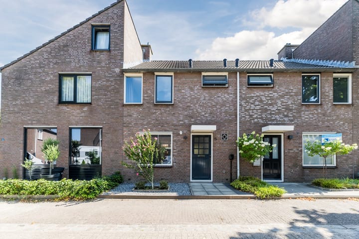 Koekoeksbloem 16 main image