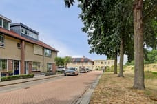 Afbeelding van Draadeind 31 - Tweede foto