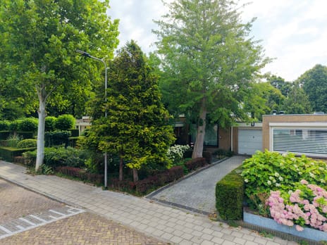 Paulus Potterplantsoen 3 secondary image