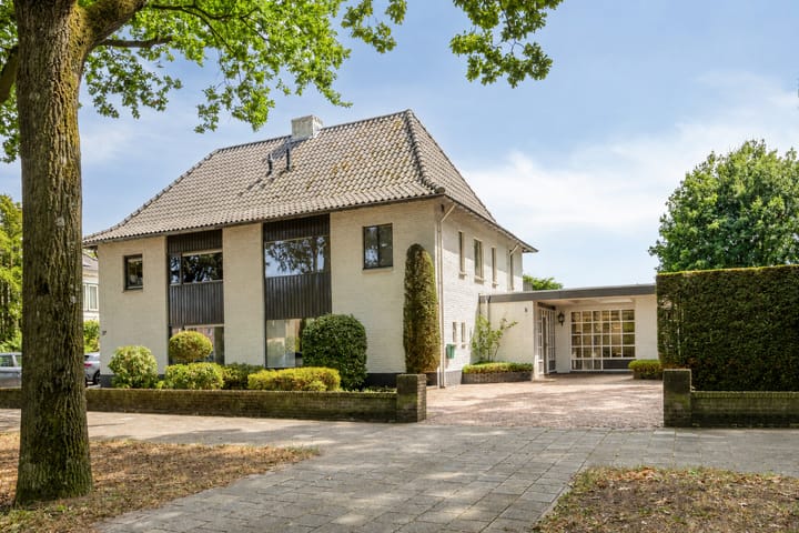 Titus Brandsmalaan 25 main image