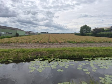 Beeklaan 68 tertiary image
