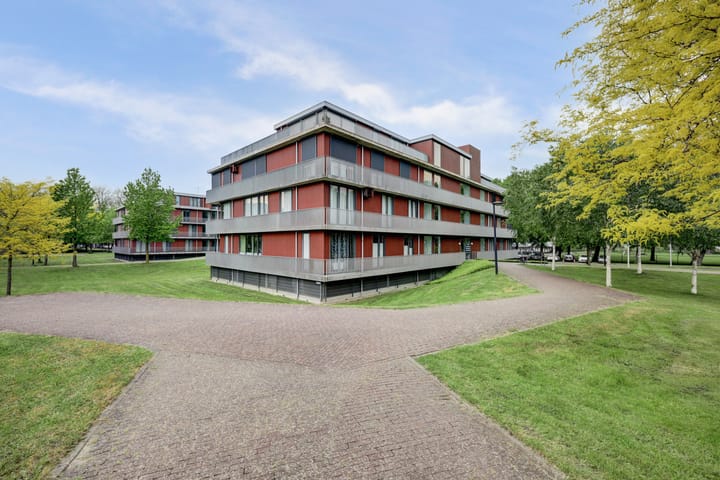 De Dukdalf 77 main image