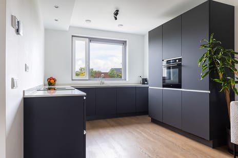 Van Baerstraat 60 secondary image