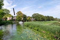 Afbeelding van Terworm 22 - Tweede foto