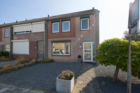 undefined main image