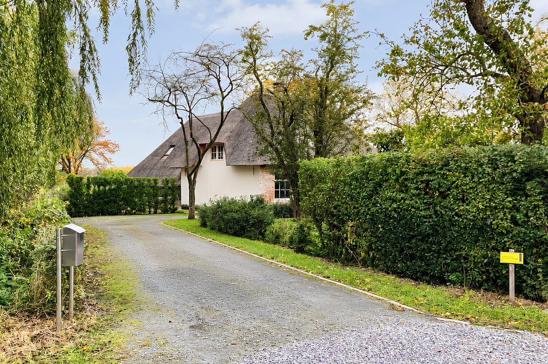 House Image 3