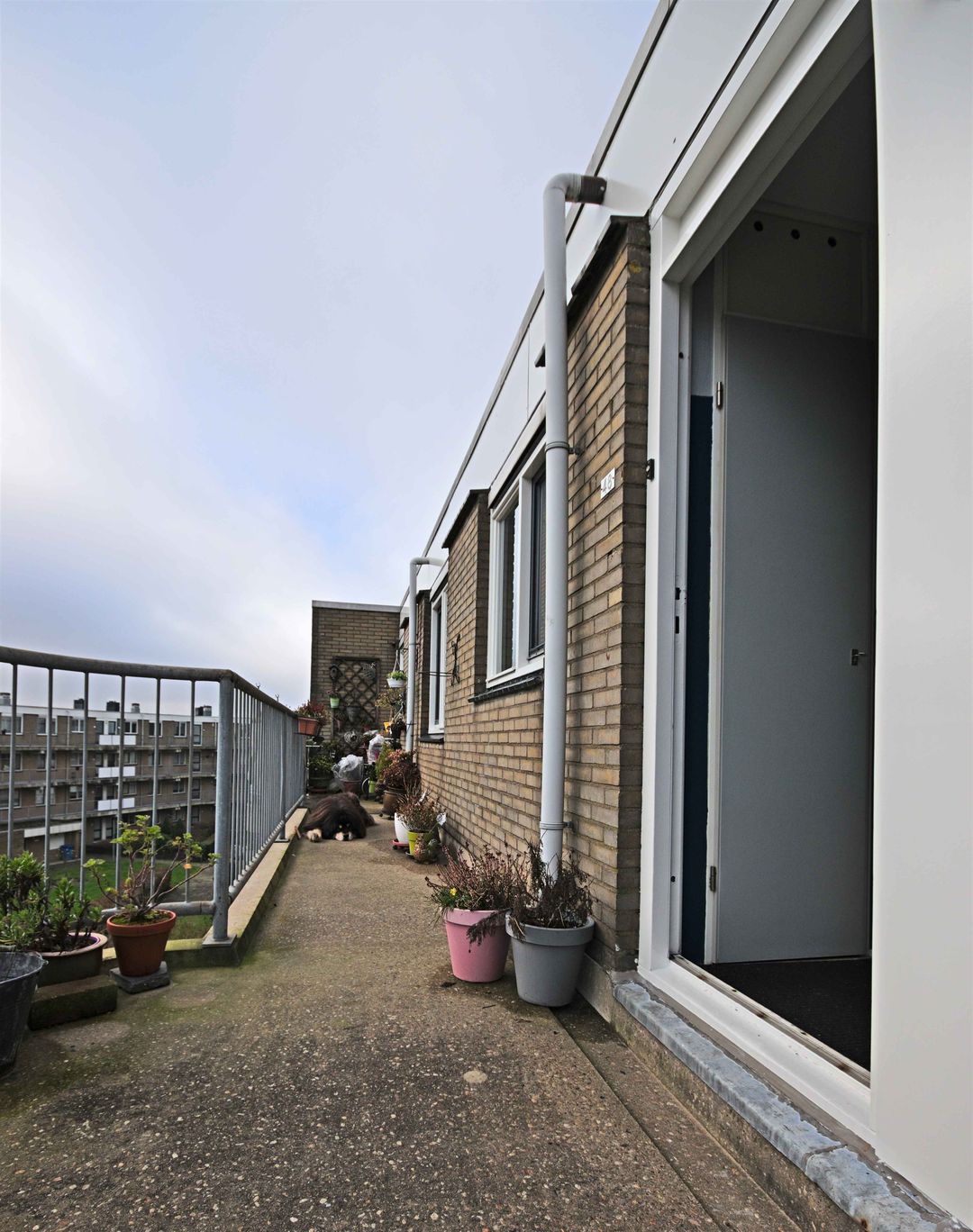 House Exterior