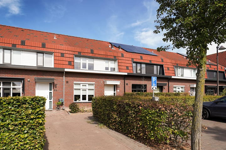 Bollengoed 20 main image