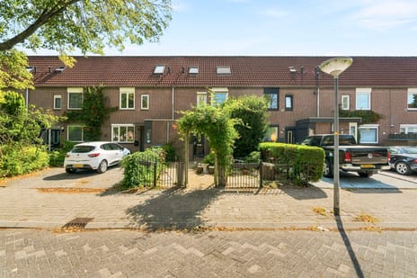 undefined main image
