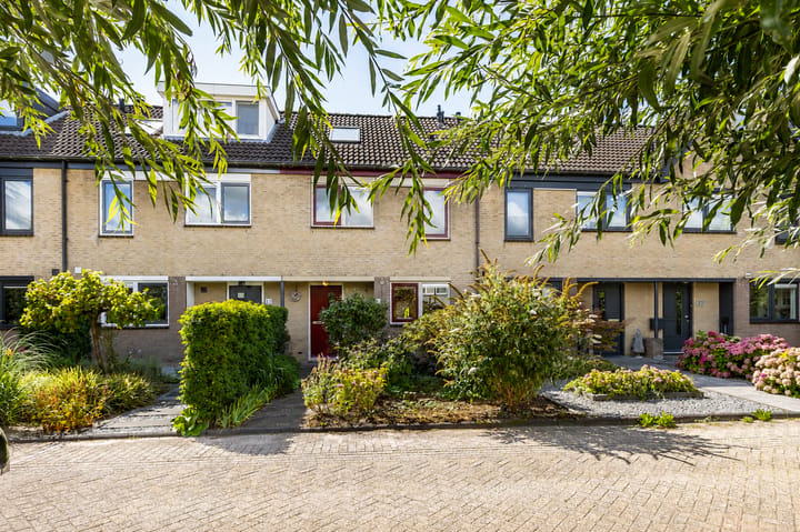 Groenland 33 main image
