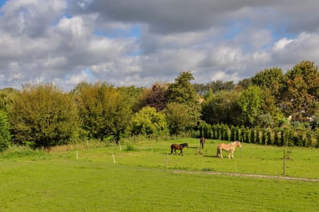 Afbeelding van Schenkeldijk 4 - Derde foto