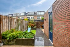 Afbeelding van Hertshoornvaren 6 - Derde foto