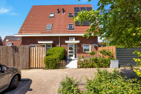 undefined main image