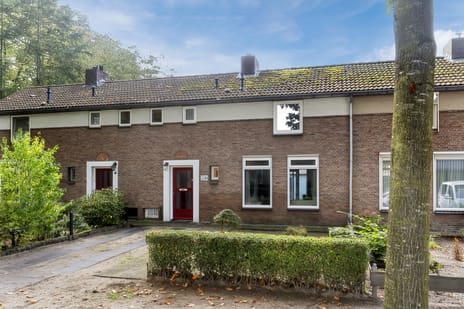 Wolfstraat 23