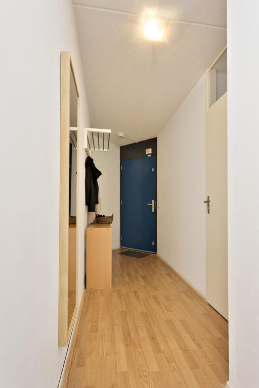House Image 4