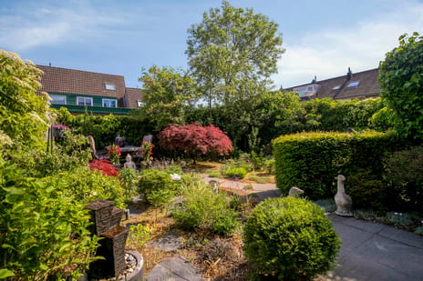 Turfstreek 89 tertiary image