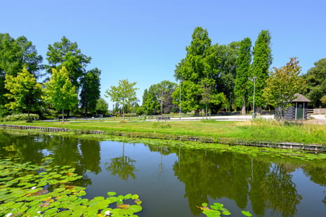Oostersingel 21-C tertiary image