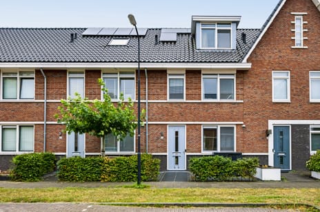 undefined main image