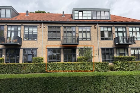 undefined main image