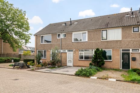 Leigraaf 56 main image