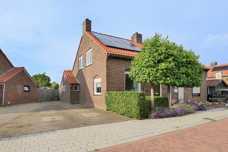 undefined main image