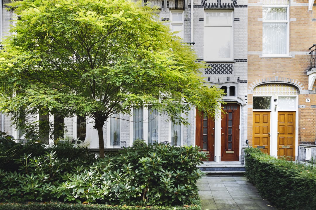 House Image 3