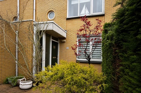 undefined main image