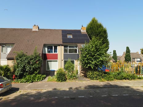undefined main image