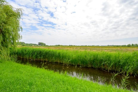 Afbeelding van Droge Wijmersweg 5-029 - Derde foto