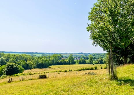 Kersenweide 18 tertiary image