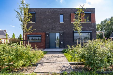 Afbeelding van Kardinaalsmuts 8 - Tweede foto