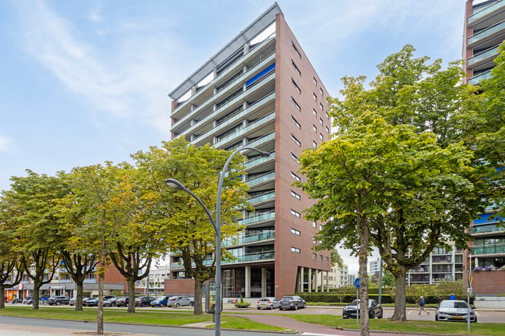 Boulevard 1945 355-132 main image