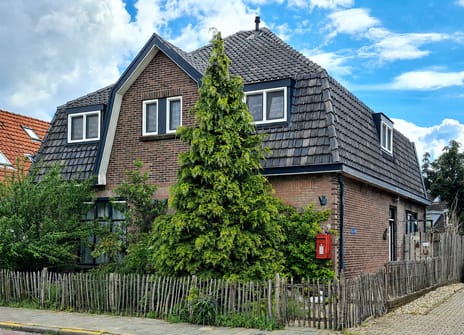 undefined main image