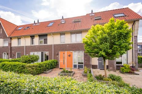 undefined main image