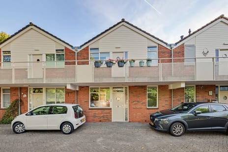 undefined main image