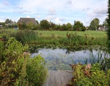Afbeelding van De Terp 1-A - Tweede foto