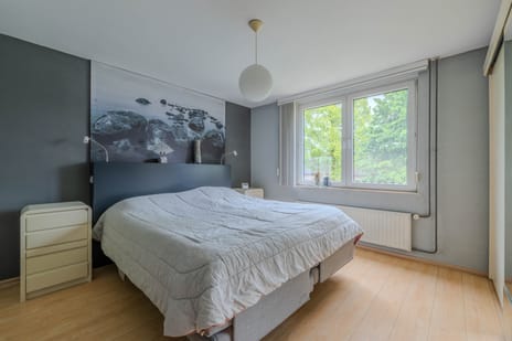 Leijgraaf 188 tertiary image