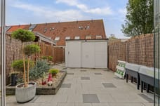 Afbeelding van Zeekoet 19 - Derde foto