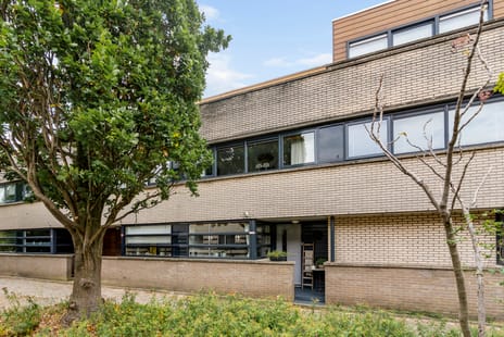 Afbeelding van Branco 113 - Tweede foto