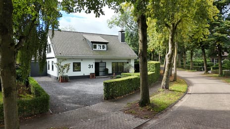 Vogelenzang 31 main image