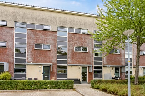 Professor Pigracht 13